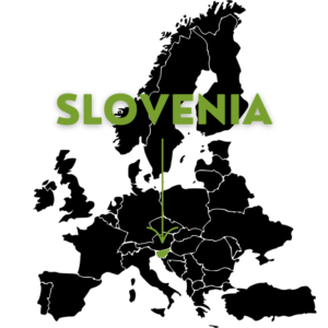 Slovenia3-768x768
